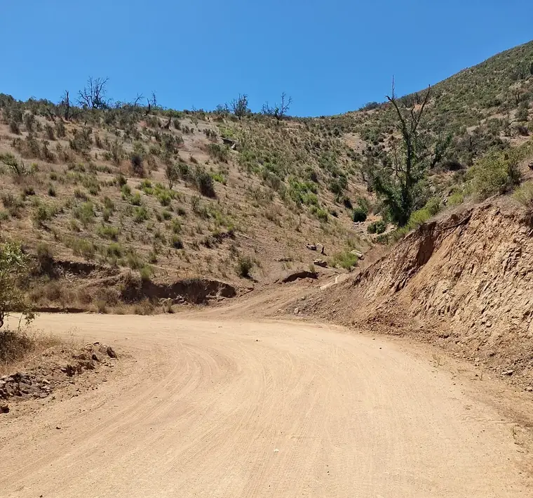 Camino de tierra entre laderas con vegetación nativa
