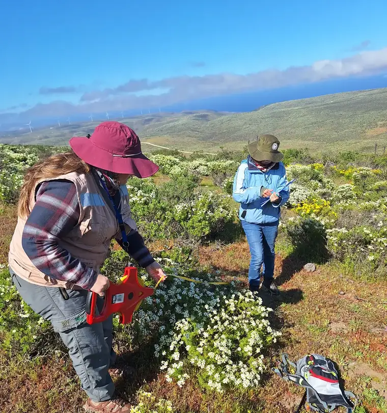 Dos profesionales registrando flora en una ladera con arbustos en floración